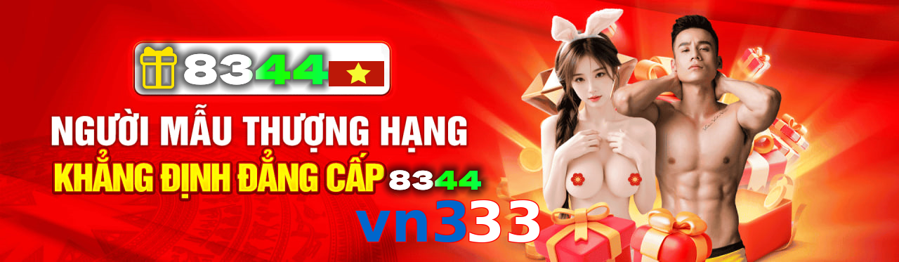 vn333
