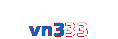 vn333