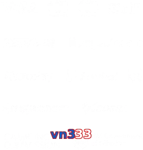 vn333