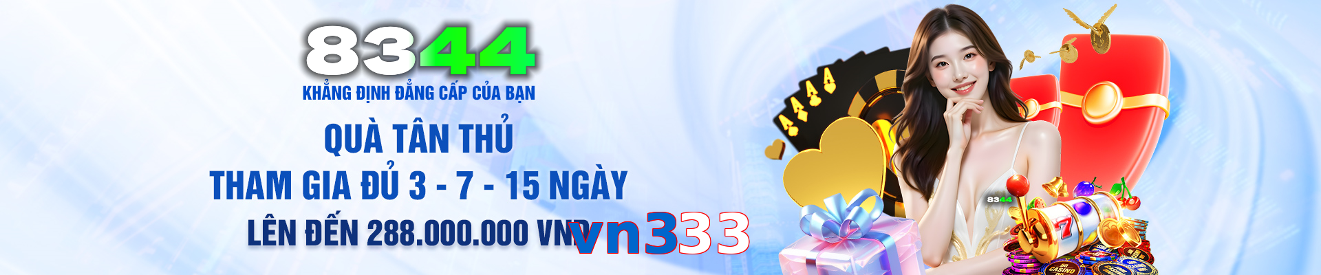 vn333